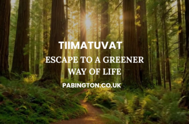 tiimatuvat