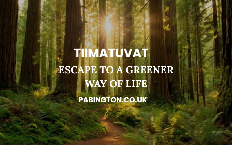 tiimatuvat